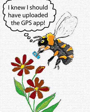 Lost bumblebee uses cell phone to find home by Susan Fluegel at Grey Duck Garlic
